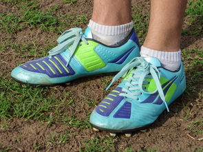 kaiyun-德约科维奇连续三场比赛得分创新高，利物浦攻势如虹，热度持续攀升